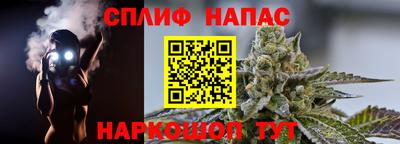 трава Новодвинск