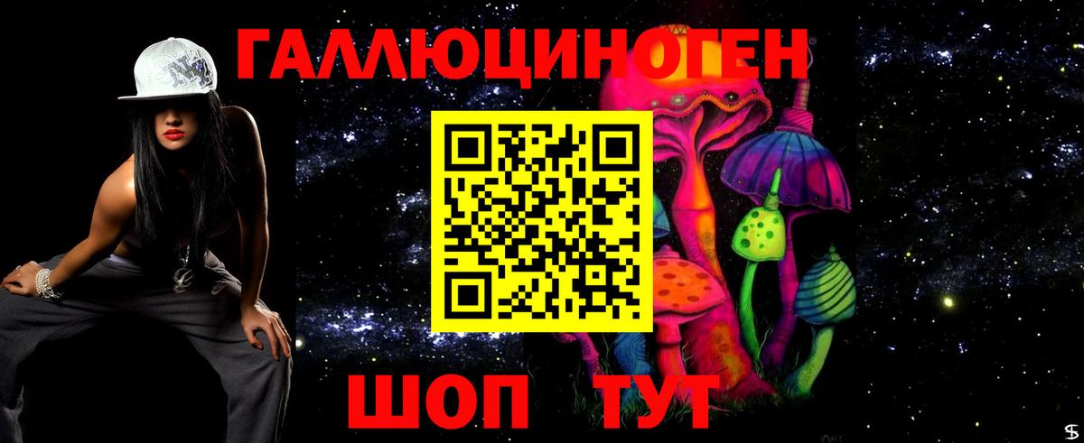 Томск  Галлюциногенные грибы прущие грибы  Псилоцибиновые грибы ЛСД  Вход с VPN 