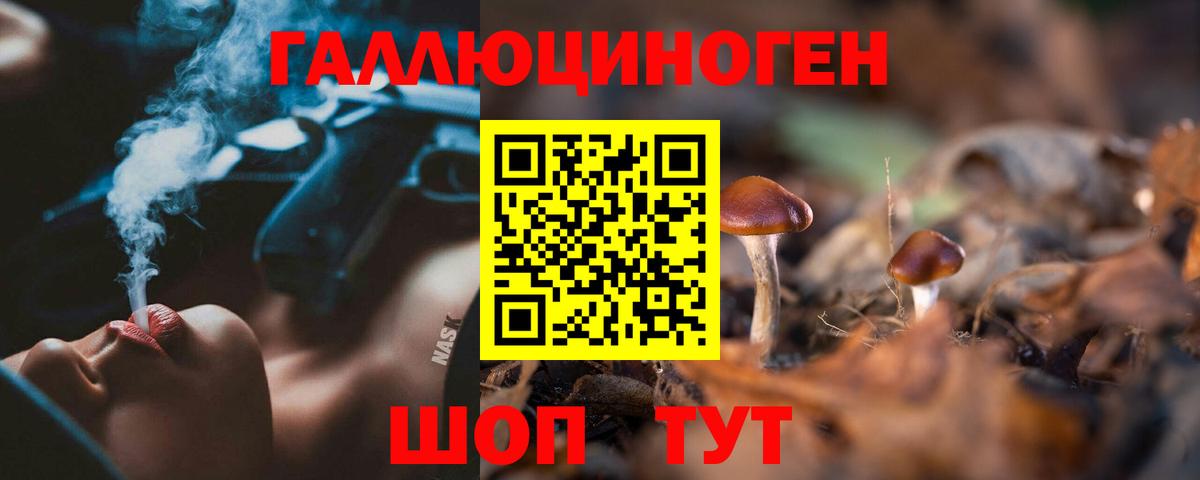 Галлюциногенные грибы прущие грибы Томск